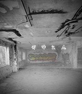律师包庇 律师包庇