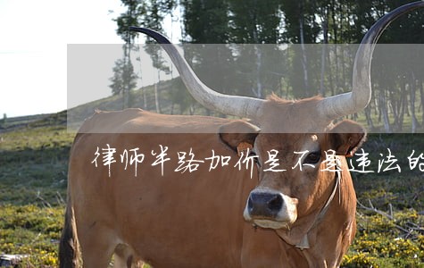 律师半路加价是不是违法的
