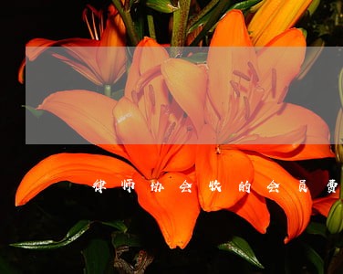 律师协会收的会员费如何入账 律师协会收的会员费如何入账