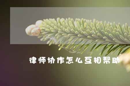 律师协作怎么互相帮助 律师协作怎么互相帮助