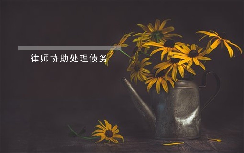 律师协助处理债务 律师协助处理债务