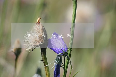 律师协助越狱 律师协助越狱