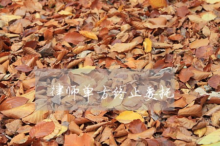 律师单方终止委托 律师单方终止委托