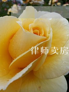 律师卖房陪购 律师卖房陪购