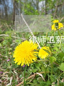 律师卫新 律师卫新