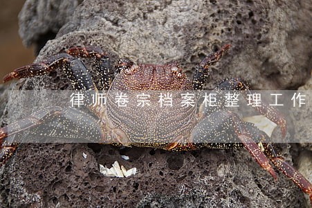律师卷宗档案柜整理工作计划 律师卷宗档案柜整理工作计划