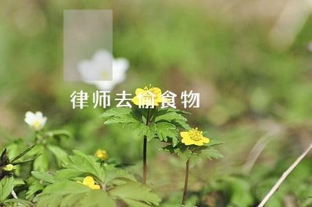律师去偷食物 律师去偷食物