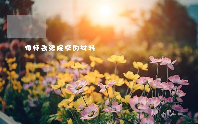 律师去法院交的材料