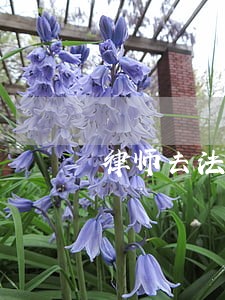 律师去法院掉卷 律师去法院掉卷