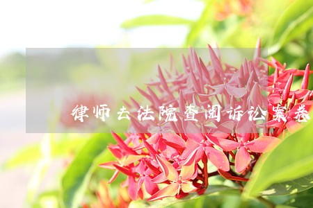 律师去法院查阅诉讼案卷 律师去法院查阅诉讼案卷