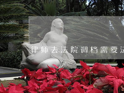 律师去法院调档需要法院调查书吗