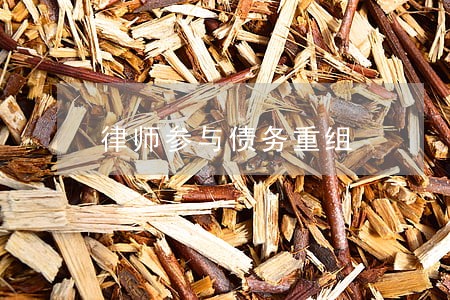 律师参与债务重组 律师参与债务重组