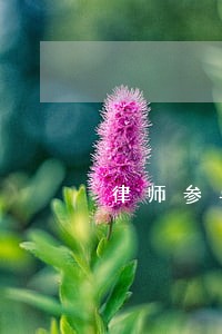 律师参与法院值班制度 律师参与法院值班制度