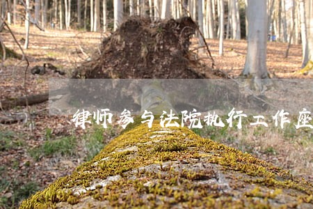 律师参与法院执行工作座谈