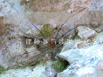 律师参与涉黑涉恶案件工作职责 律师参与涉黑涉恶案件工作职责