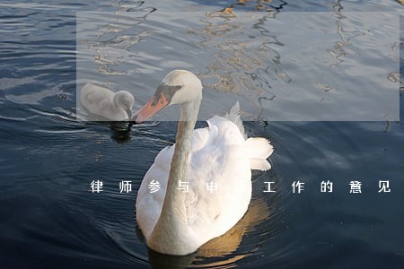 律师参与申诉工作的意见 律师参与申诉工作的意见