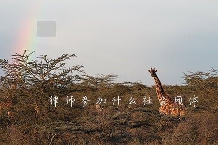 律师参加什么社会团体 律师参加什么社会团体