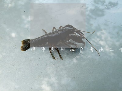律师参加社区普法工作 律师参加社区普法工作