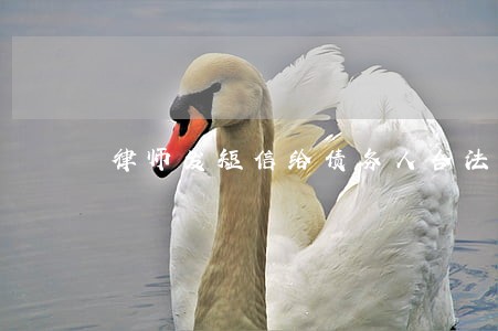 律师发短信给债务人合法吗 律师发短信给债务人合法吗