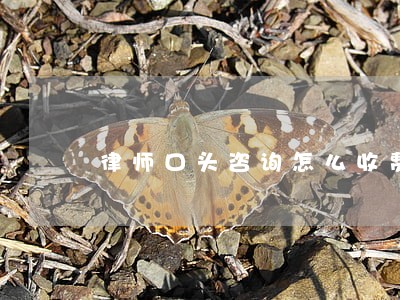 律师口头咨询怎么收费 律师口头咨询怎么收费
