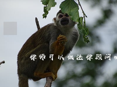 律师可以做法律顾问吗 律师可以做法律顾问吗