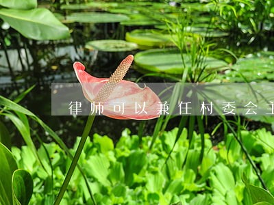 律师可以兼任村委会主任吗 律师可以兼任村委会主任吗