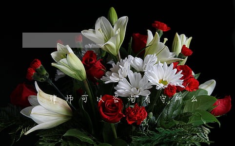 律师可以咨询看守所么 律师可以咨询看守所么