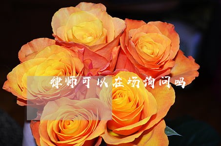 律师可以在场询问吗 律师可以在场询问吗