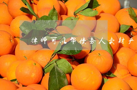 律师可以帮债务人卖财产吗 律师可以帮债务人卖财产吗