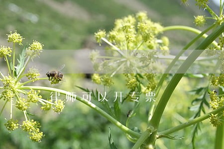 律师可以开专票 律师可以开专票