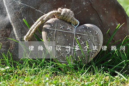 律师可以当多个法律顾问 律师可以当多个法律顾问