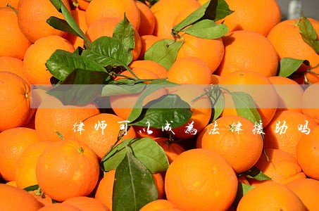 律师可以成为法律援助吗 律师可以成为法律援助吗