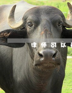 律师可以查到个人信息 律师可以查到个人信息