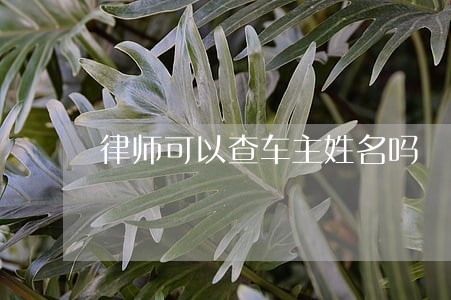 律师可以查车主姓名吗 律师可以查车主姓名吗