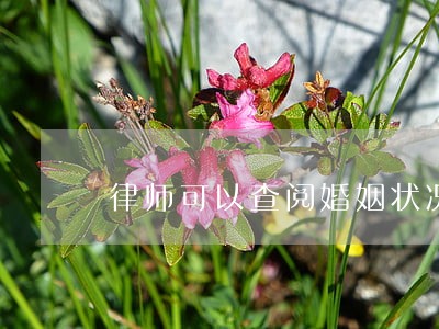 律师可以查阅婚姻状况 律师可以查阅婚姻状况