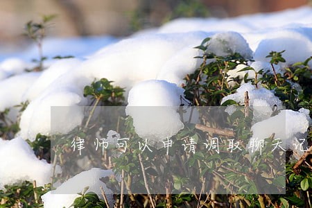 律师可以申请调取聊天记录吗嘛 律师可以申请调取聊天记录吗嘛