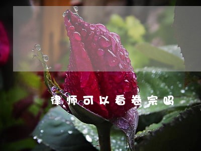律师可以看卷宗吗 律师可以看卷宗吗