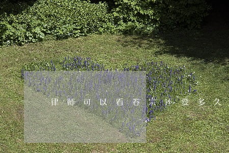 律师可以看卷宗还要多久才结案 律师可以看卷宗还要多久才结案