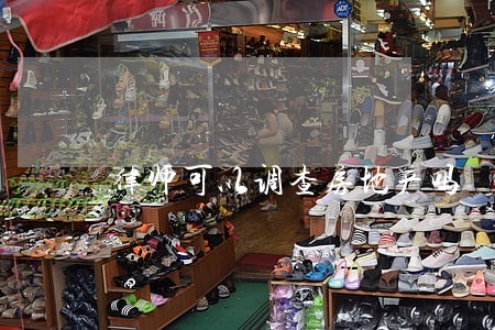 律师可以调查房地产吗