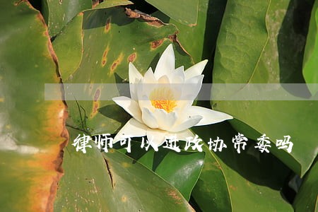 律师可以进政协常委吗 律师可以进政协常委吗