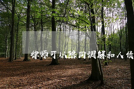 律师可以陪同调解和人债务 律师可以陪同调解和人债务