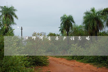 律师可查房产信息吗 律师可查房产信息吗