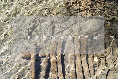 律师合伙人秘书了解一下 律师合伙人秘书了解一下