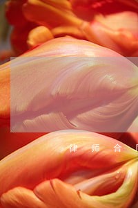 律师合同修改时间一般多久 律师合同修改时间一般多久
