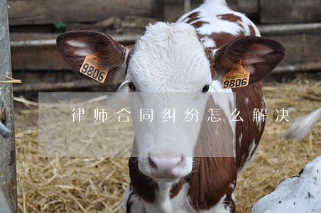 律师合同纠纷怎么解决 律师合同纠纷怎么解决