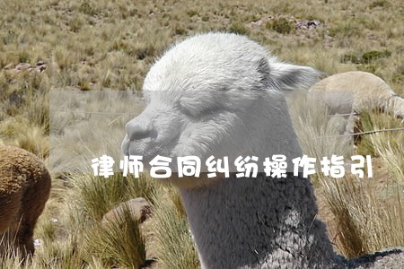 律师合同纠纷操作指引 律师合同纠纷操作指引