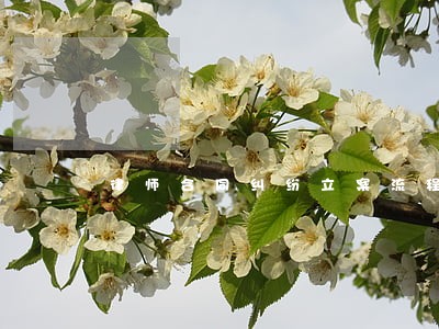 律师合同纠纷立案流程 律师合同纠纷立案流程