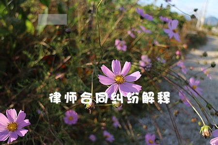 律师合同纠纷解释 律师合同纠纷解释