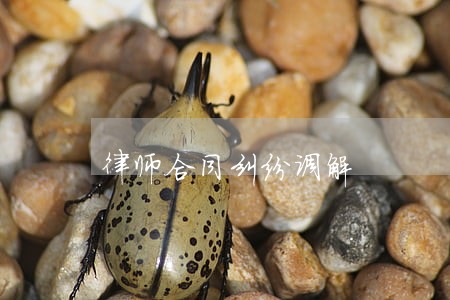 律师合同纠纷调解 律师合同纠纷调解
