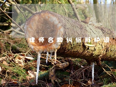律师合同纠纷辩护词 律师合同纠纷辩护词